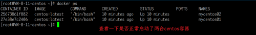 带你细致学习Docker网络 - bridge模式4211